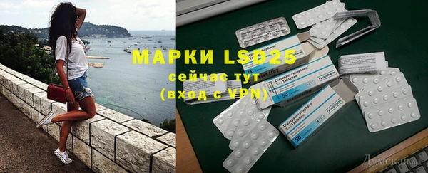 прущие грибы Аркадак