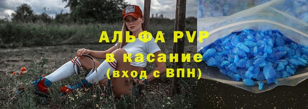 прущие грибы Аркадак