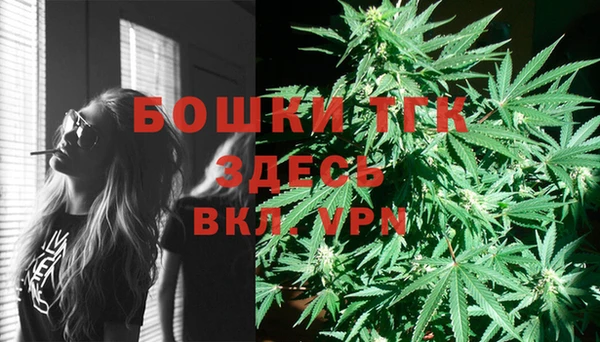 прущие грибы Аркадак