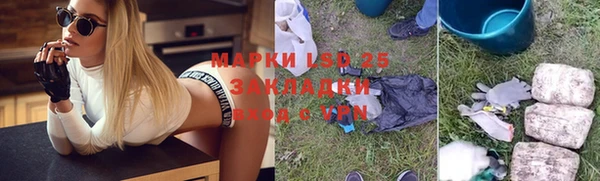 прущие грибы Аркадак