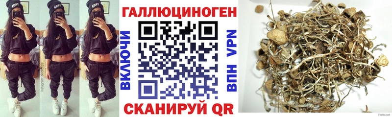 Псилоцибиновые грибы Cubensis  Кубинка 