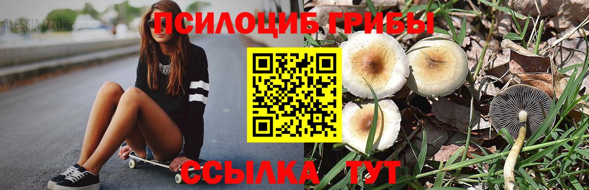 Галлюциногенные грибы Cubensis  Вход с VPN  Кубинка 
