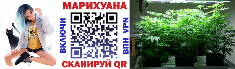 Конопля индика  Кубинка 